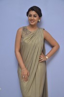 Nikki Galrani Stills